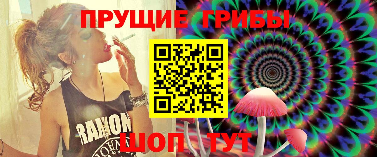 Галлюциногенные грибы мицелий  Вход с VPN  Новотроицк  Галлюциногенные грибы ЛСД 